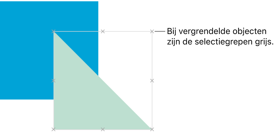 Een vergrendeld object met gedimde selectiegrepen.