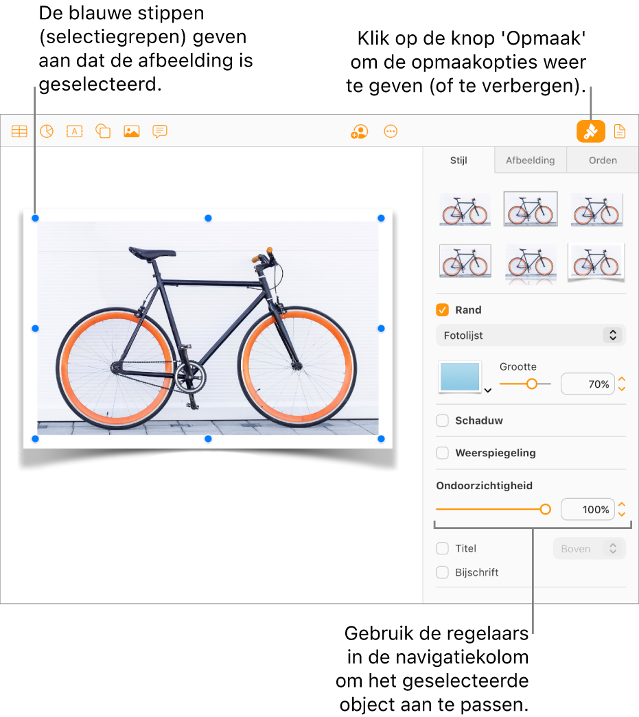 Een afbeelding in een document is geselecteerd, en de regelaars om het uiterlijk te wijzigen (bijvoorbeeld aankruisvakken voor rand en schaduw) worden weergegeven in de navigatiekolom aan de rechterkant.