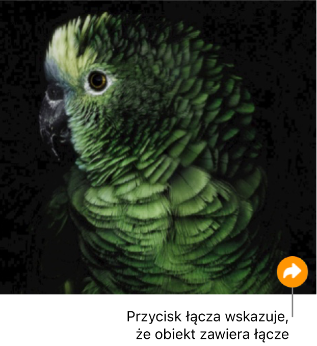 Obrazek z przyciskiem łącza (przypominającym zakrzywioną strzałkę) w prawym dolnym rogu.