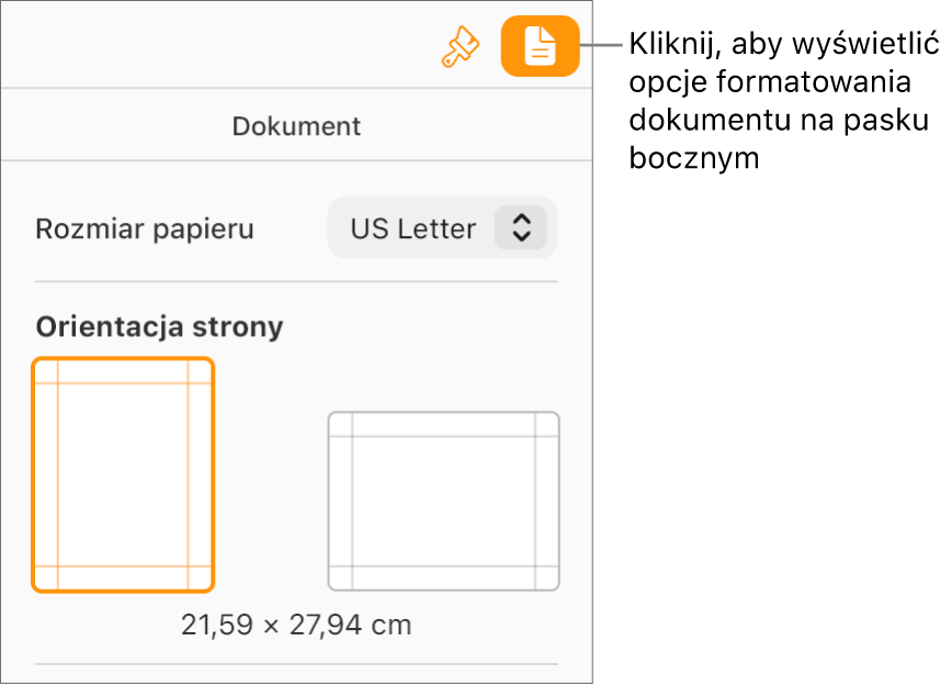 Na pasku narzędzi wybrany jest przycisk Dokument, a na karcie Dokument na pasku bocznym wyświetlane są narzędzia do zmiany rozmiaru i orientacji papieru.