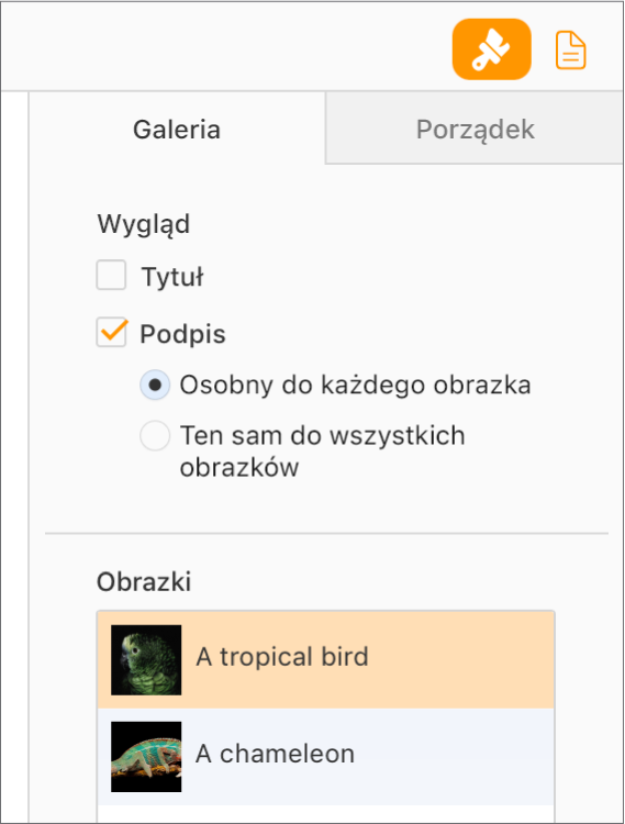 Menu podręczne Galeria na pasku bocznym Format. Zaznaczone jest pole wyboru Podpisy i dostępne są opcje osobnych podpisów dla każdego obrazka lub tego samego podpisu dla wszystkich obrazków. Poniżej narzędzi znajdują się miniaturki każdego obrazka z podpisem po prawej stronie.
