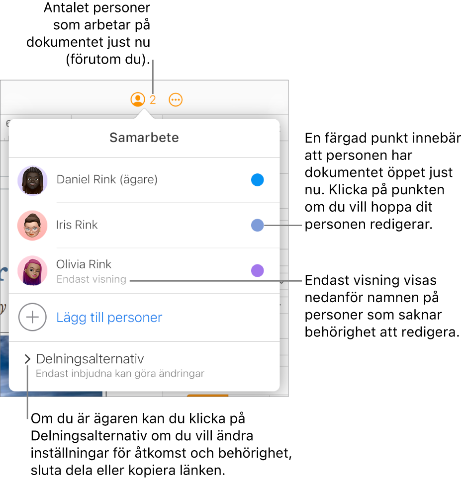 Menyn Samarbete är öppen med en lista med tre deltagare (en med åtkomstbehörigheten Endast visning), alternativet Lägg till personer och avsnittet Delningsalternativ.