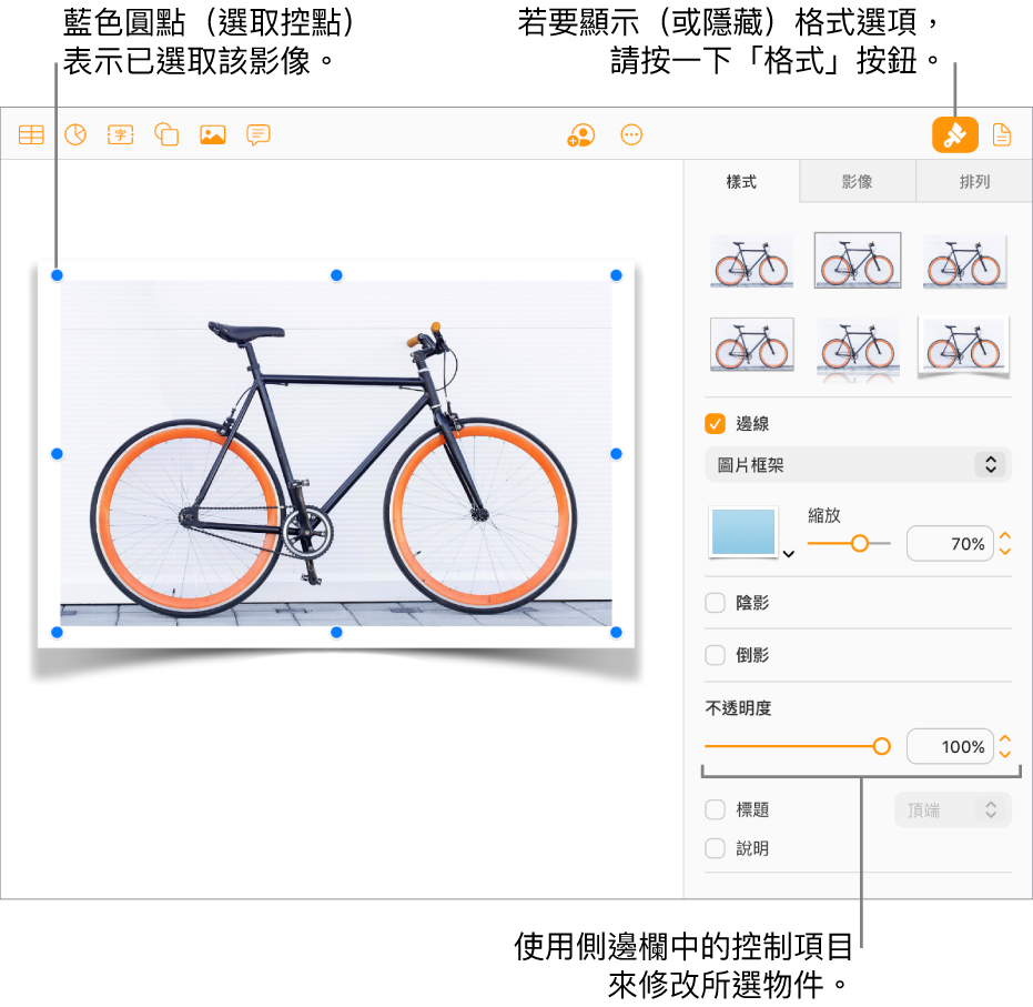文件中選取了一張影像,右側邊欄顯示的控制項目則可用於更改其外觀(例如邊線和陰影註記框)。