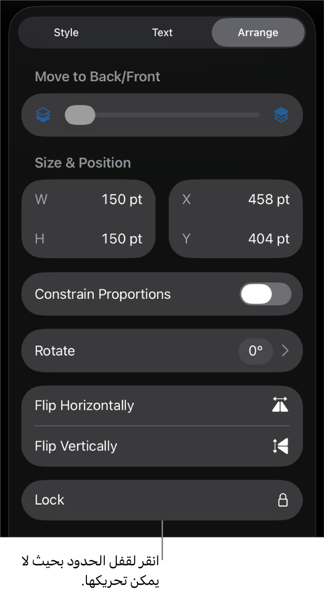 عناصر التحكم في الترتيب في قائمة التنسيق مع وضع وسيلة شرح على زر القفل.