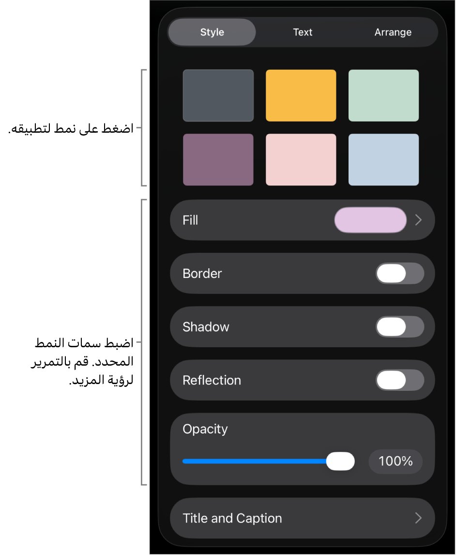 علامة تبويب النمط من قائمة التنسيق مع أنماط الكائنات في الجزء العلوي وعناصر التحكم أدناها لتغيير الحدود والظل والانعكاس والتعتيم.