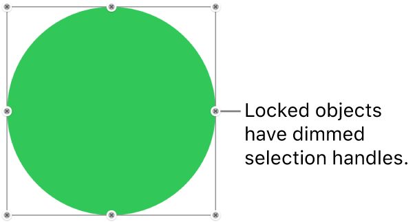A locked object with dimmed selection handles.