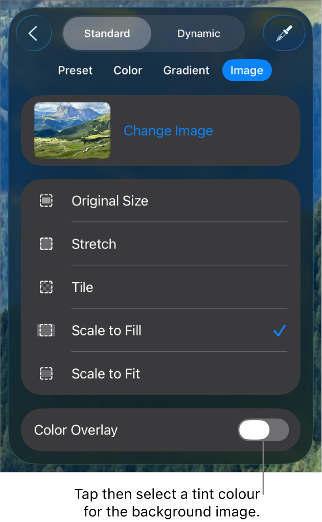 The Background controls with an image set as the slide background and the Colour Overlay control at the bottom.