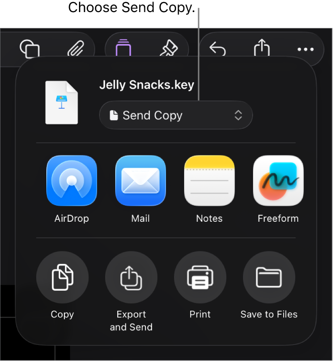 The Share menu with Send Copy selected at the top.