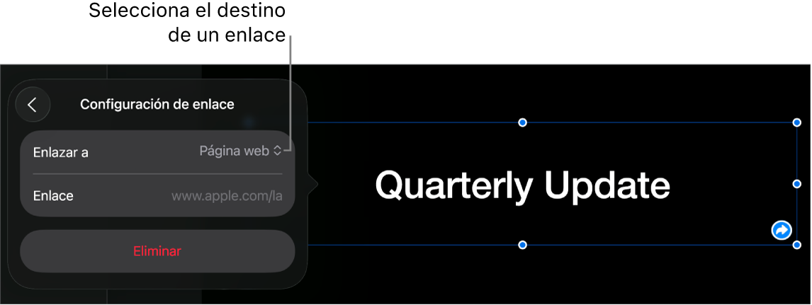Los controles de Configuración de enlace con la opción Página web seleccionada, y el botón Eliminar en la parte de abajo.