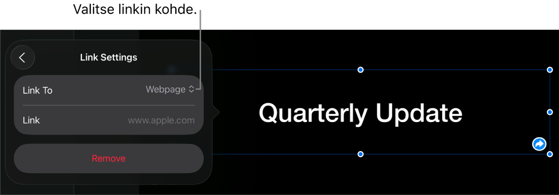 Linkkiasetukset-säätimet, joissa on valittuna Verkkosivu ja alhaalla on painike Poista.