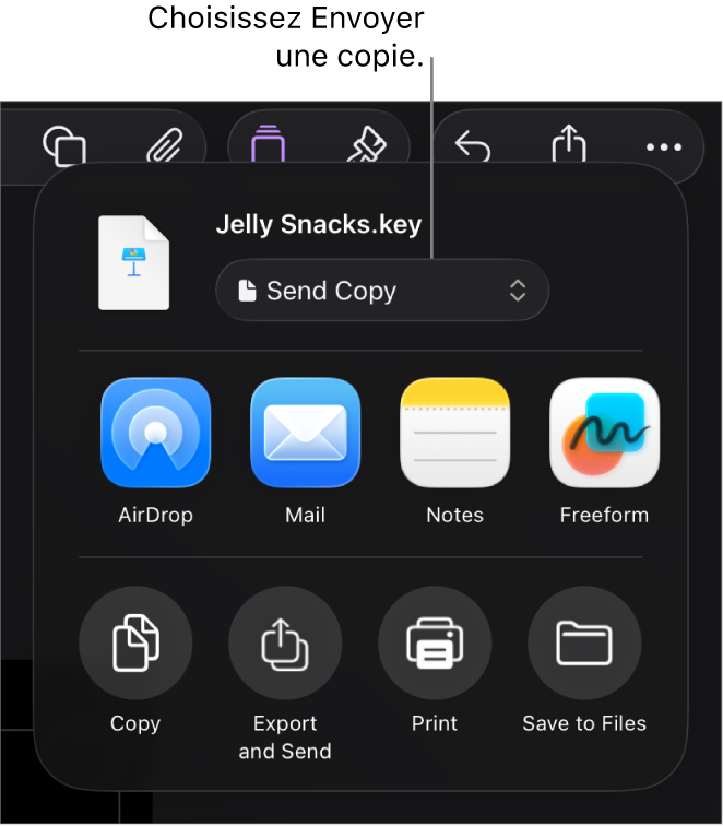 Le menu Partager avec l’option Envoyer une copie sélectionnée dans le haut.