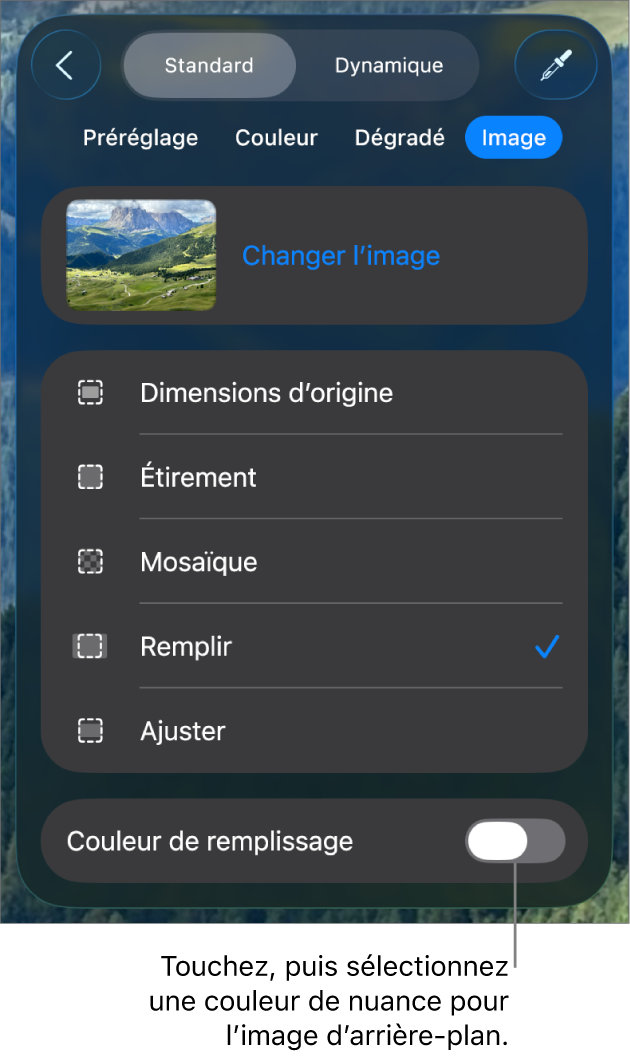 Les commandes Arrière-plan avec une image définie comme arrière-plan de la diapositive et la commande Superposition de couleurs en bas.