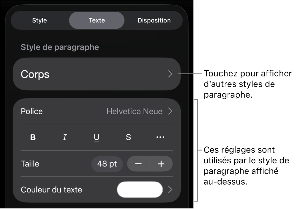 Menu Format montrant les commandes de texte permettant de définir les styles, la police, la taille et la couleur des paragraphes et des caractères.