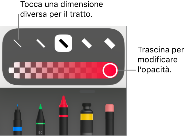 Controlli per scegliere una dimensione tratto e cursore per regolare l’opacità.