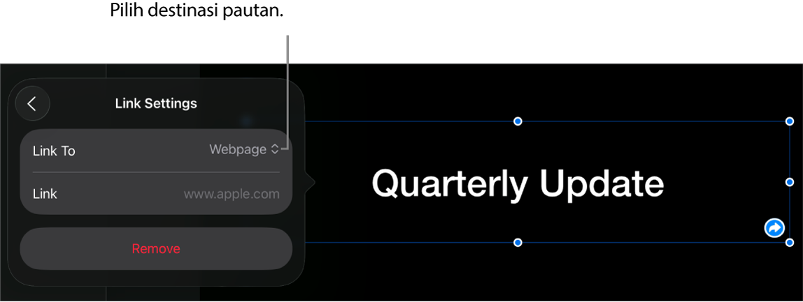 Kawalan Seting Pautan dengan Halaman Web dipilih dan butang Keluarkan di bahagian bawah.