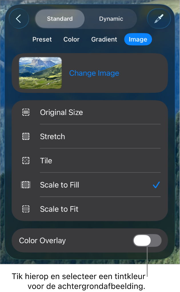 De achtergrondregelaars; als dia-achtergrond is een afbeelding ingesteld en onderaan staat de regelaar 'Kleuroverlay'.
