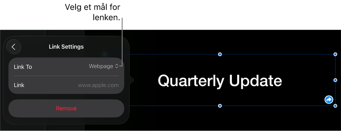 Lenkeinnstillinger-kontrollene med Nettside markert og Fjern-knappen nederst.