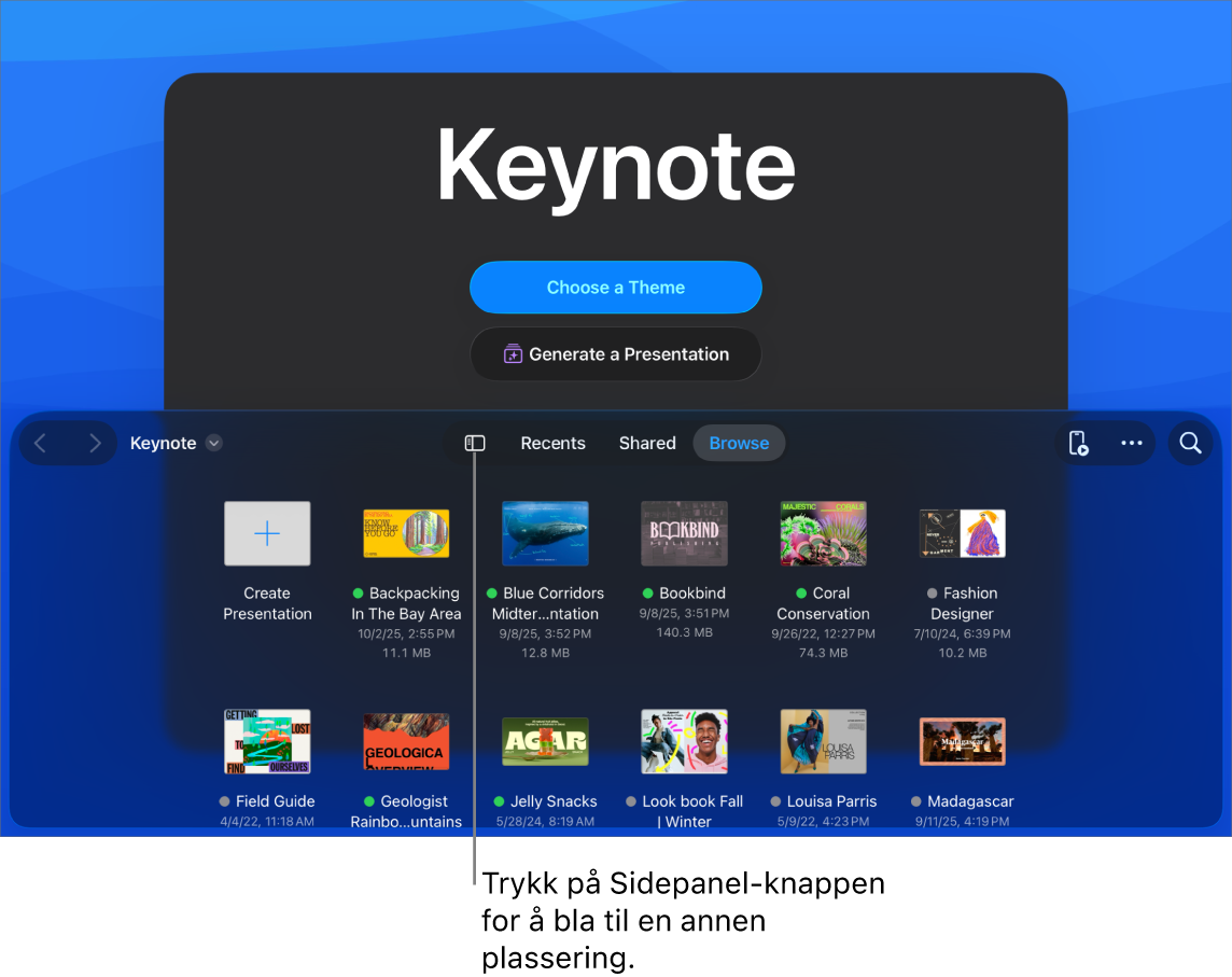 Dokumenthåndtereren med knapper for å velge et tema og starte en presentasjon fra en disposisjon på øvre halvdel av skjermen, og dokumentnavigeringen med delte presentasjoner nederst.