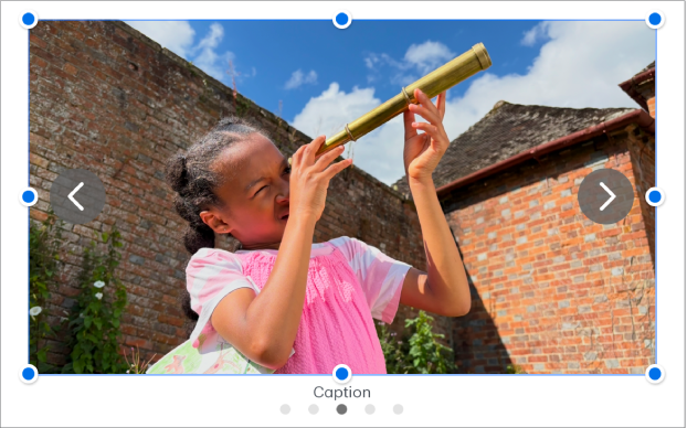 Obiekt w galerii obrazków zawierający cztery obrazki, z podpisem pod nimi i strzałkami nawigacyjnymi po lewej i prawej stronie obrazka.