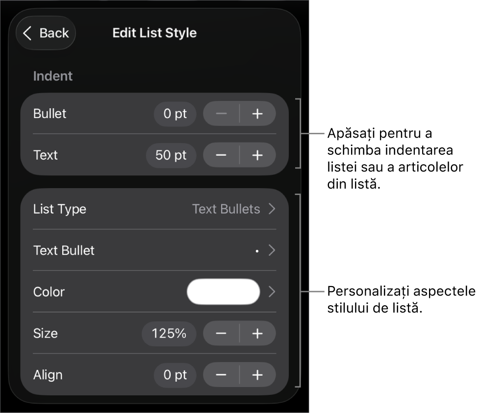 Meniul de editare a stilului de listă cu comenzile pentru editarea tipului și aspectului listei.