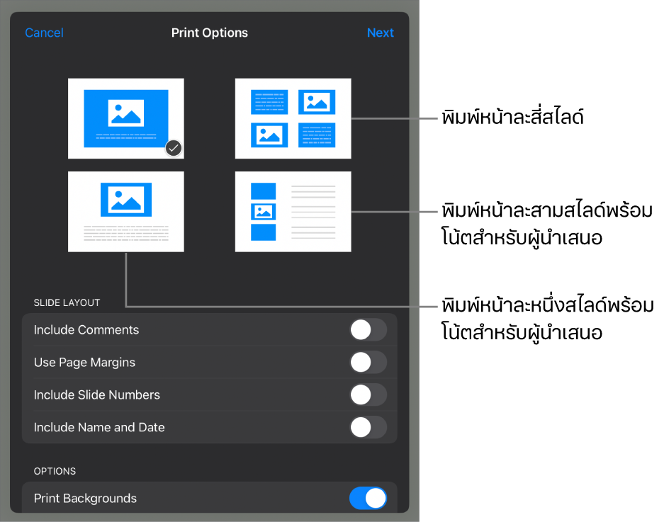 ตัวเลือกเค้าโครงการพิมพ์
