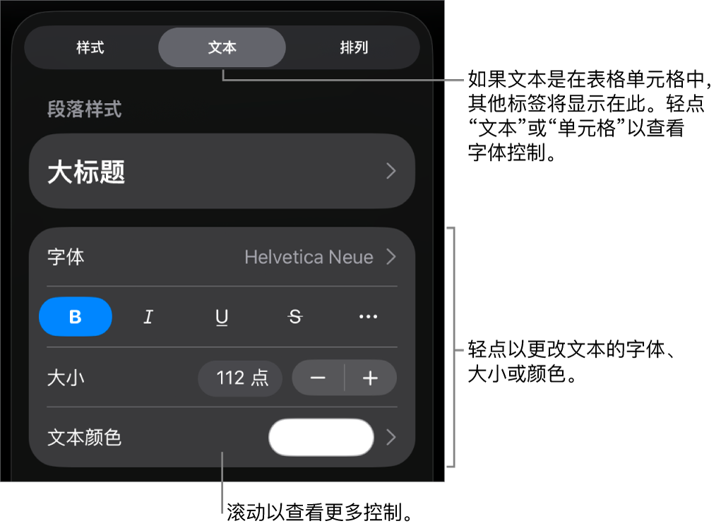 “格式”菜单中的“文本”控制,用于设定段落和字符样式、字体、大小和颜色。