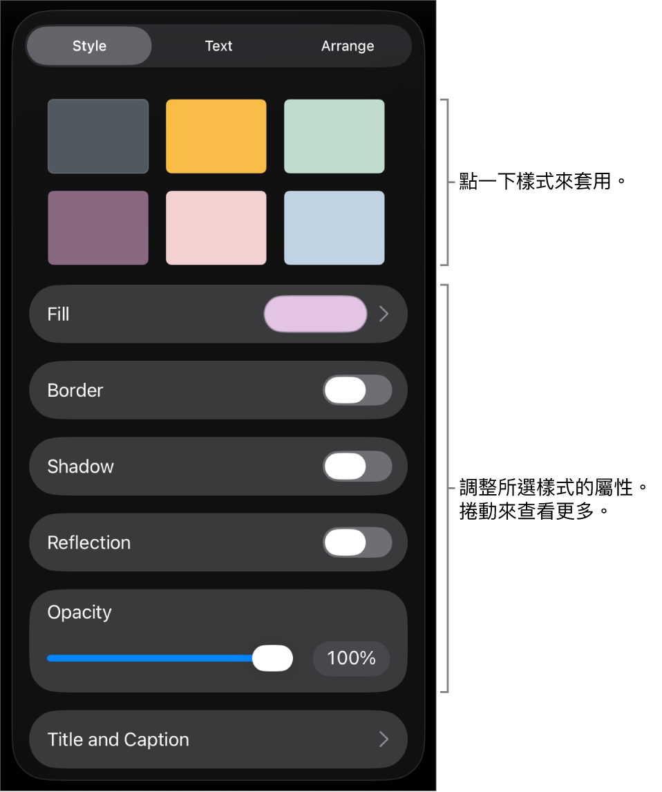 「格式」選單中的「樣式」分頁,最上方為物件樣式,下方為用於更改邊線、形狀、倒影和不透明度的控制項目。