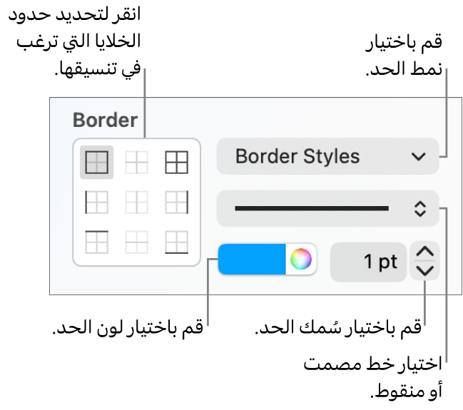 عناصر تحكم الشريط الجانبي لتغيير مظهر حدود الخلايا.