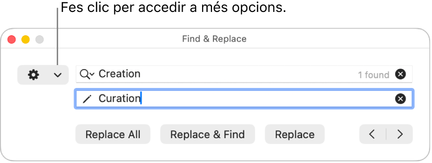 La finestra “Cerca i substitueix” amb una referència al menú desplegable que mostra més opcions.
