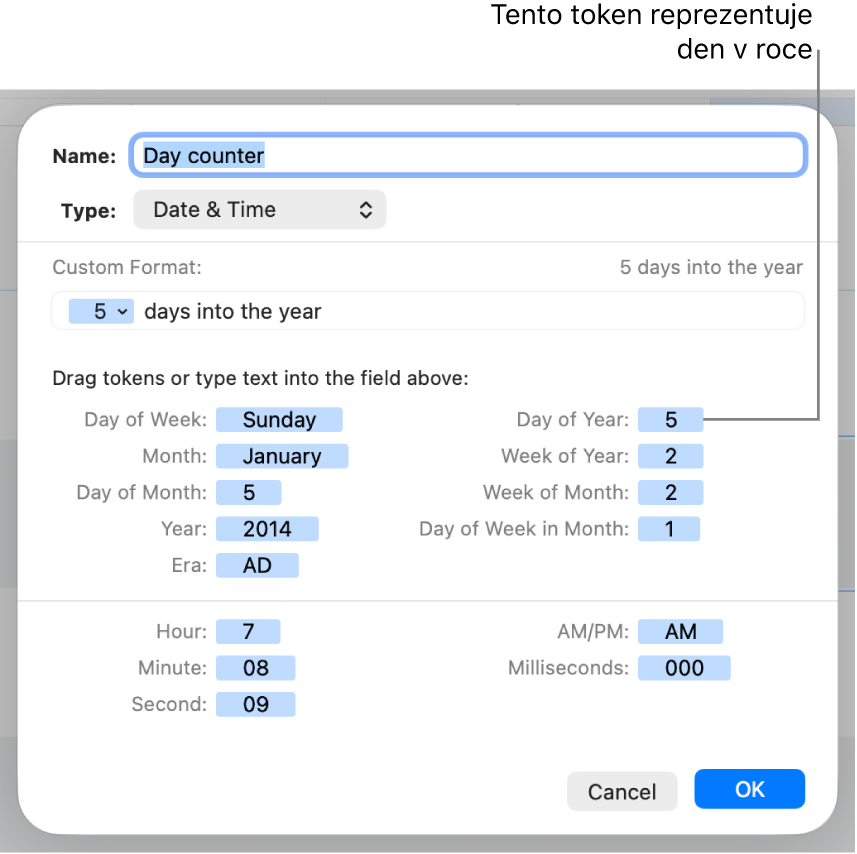 Okno vlastního formátu buněk s ovládacími prvky pro vytvoření vlastního formátu data a času