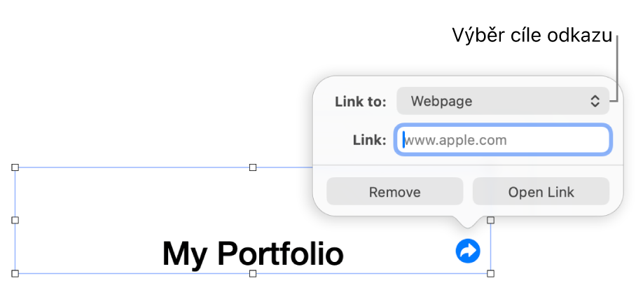 Ovládací prvky editoru odkazů s vybranou volbou Webová stránka a tlačítky Odstranit a Otevřít odkaz v dolní části.