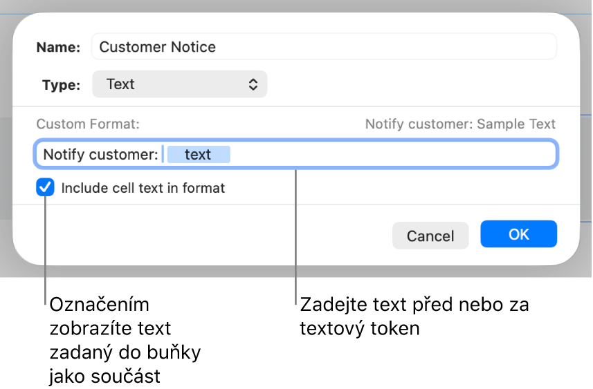 Vlastní formát buněk obsahujících text