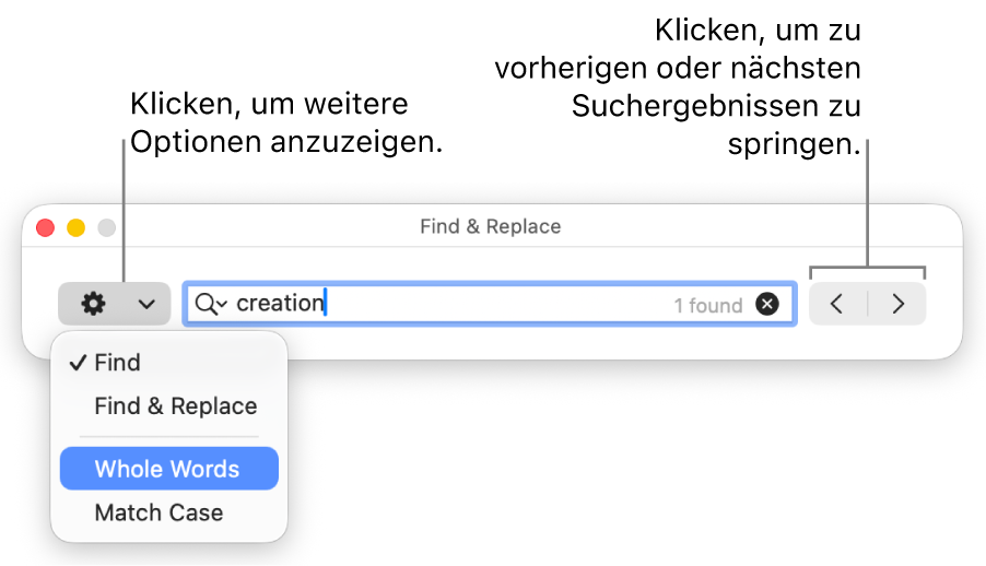 Das Fenster „Suchen & Ersetzen“ mit dem Einblendmenü, in dem Optionen zum Suchen, Suchen und Ersetzen, Suchen ganzer Wörter und Suchen unter Berücksichtigung der Groß-/Kleinschreibung zu sehen sind. Mit den Pfeilen auf der rechten Seite kann zu den vorherigen bzw. nächsten Suchergebnissen gesprungen werden.