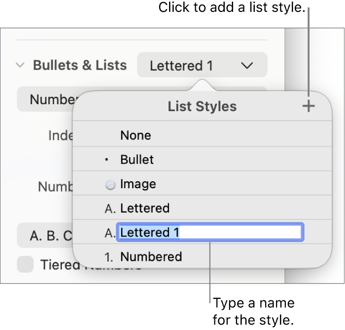The List Styles pop-up menu with an Add button in the top-right corner and a placeholder style name with its text selected.