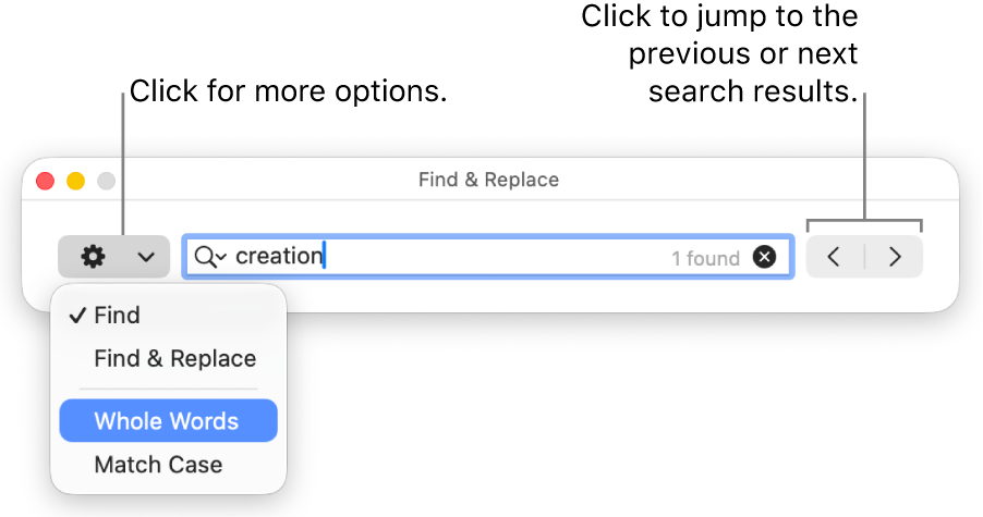 The Find & Replace window with the pop-up menu showing options for Find, Find & Replace, Whole Words and Match Case. The arrows on the right let you jump to the previous or next search results.