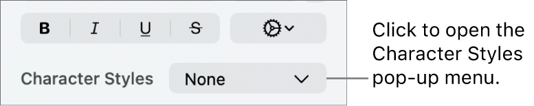 The Character Styles pop-up menu below controls for changing the text style and colour.