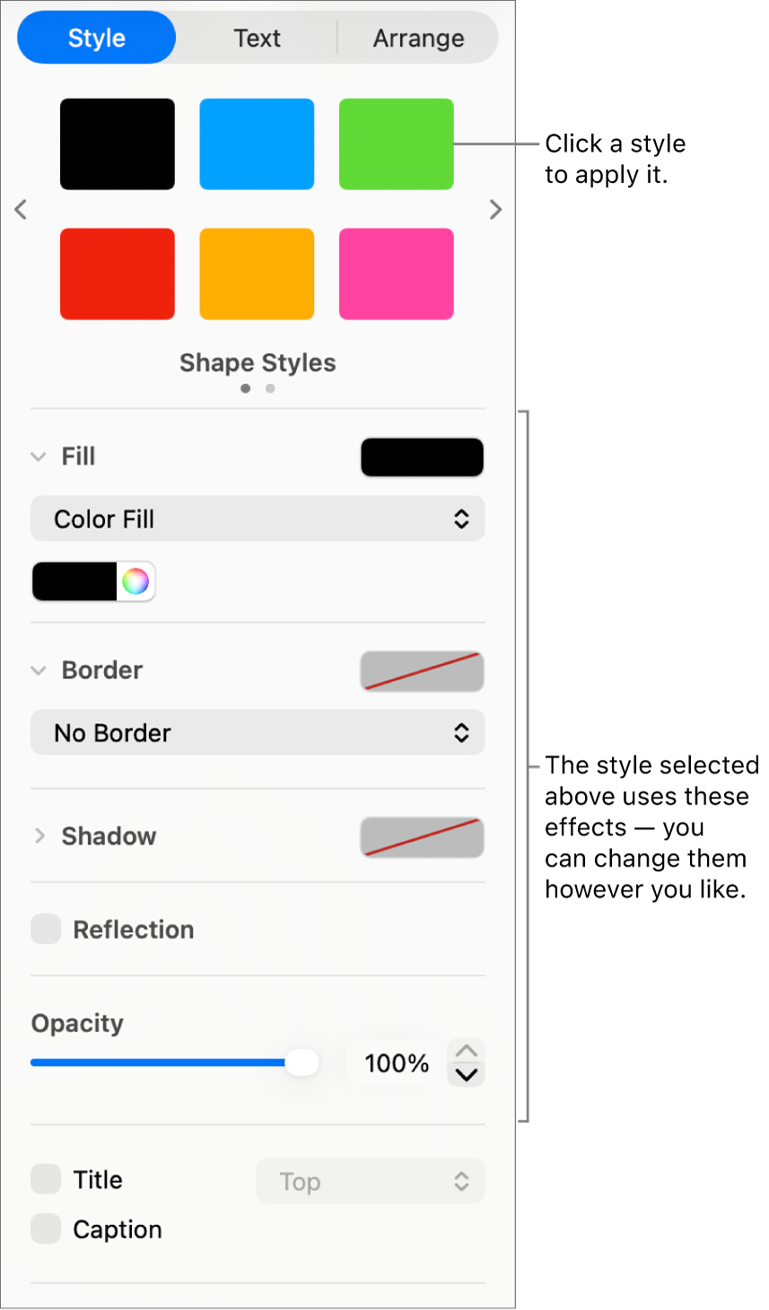 Shape styles and options in the Format section of the sidebar.