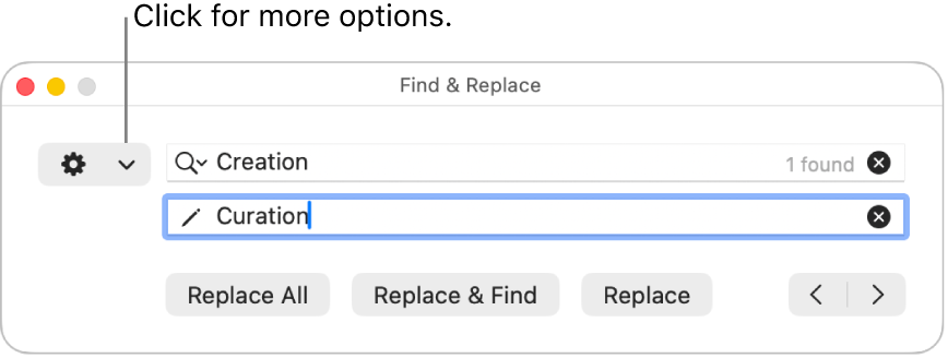 The Find & Replace window with a callout to the pop-up menu that shows more options.