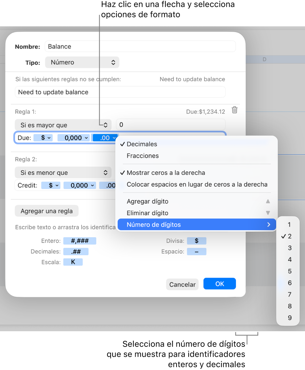Ventana de formato de celda personalizado con controles para crear un formato numérico personalizado.