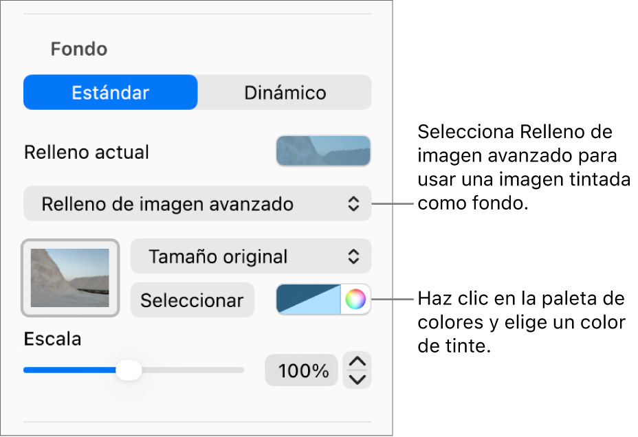 Los controles Fondo con un relleno de imagen avanzado tintado establecido como fondo de la diapositiva.