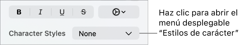 El menú desplegable “Estilos de carácter” debajo de los controles para cambiar el estilo y el color del texto.