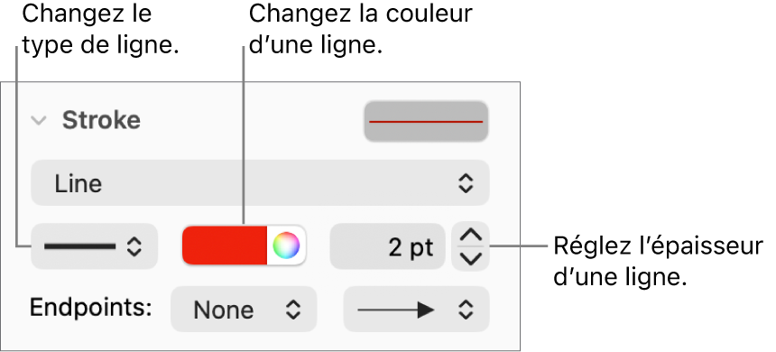 Les commandes de trait permettant de définir des extrémités, l’épaisseur du trait et sa couleur.