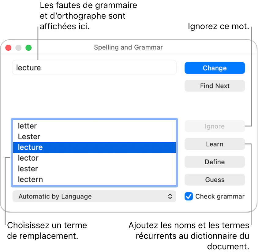 La fenêtre Orthographe et grammaire.