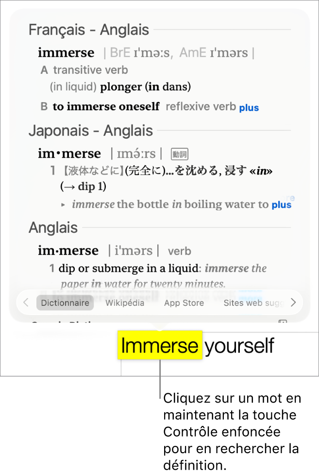 Un texte avec un mot surligné et une fenêtre contenant sa définition et des synonymes. Deux boutons en bas de la fenêtre fournissent des liens vers le dictionnaire et vers Wikipedia.