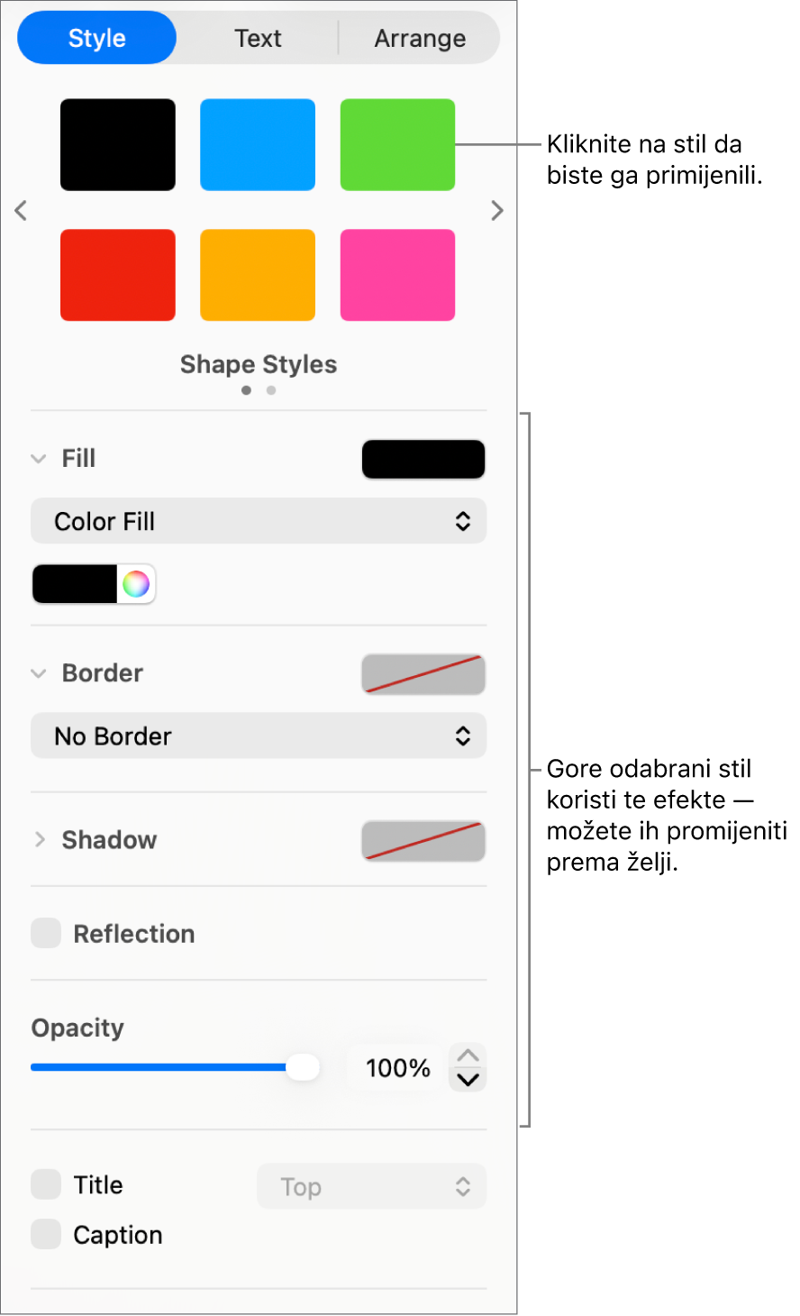 Stilovi oblika i opcije u odjeljku Format rubnog stupca.