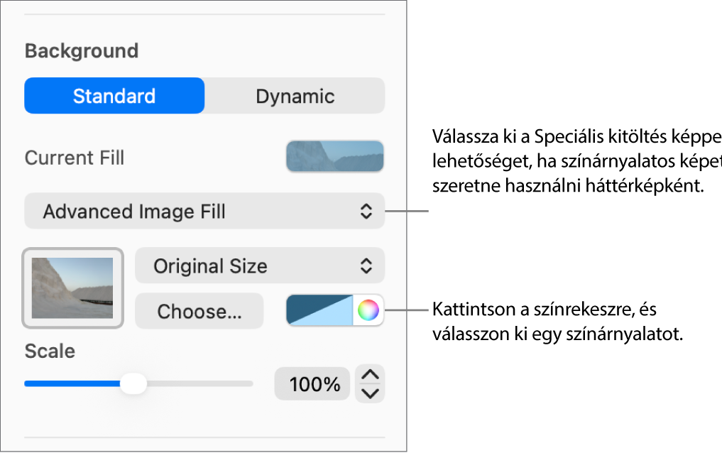 A Háttér vezérlők egy, a dia háttereként beállított színárnyalatos Speciális kitöltés képpel.
