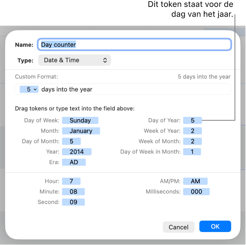 Het venster voor aangepaste celnotatie met regelaars voor het aanmaken van een aangepaste datum- en tijdnotatie.