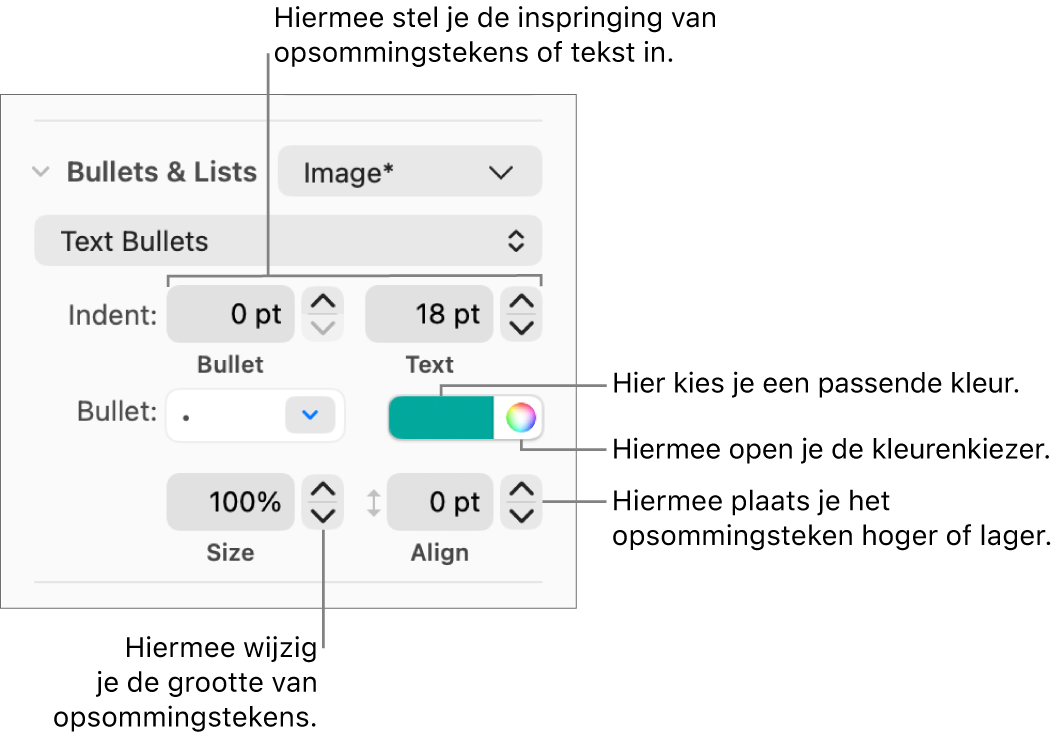 Het gedeelte 'Opsommingstekens en lijsten' met uitleg bij de regelaars voor opsommingstekens en het inspringen van tekst, de kleur en grootte van opsommingstekens, en uitlijning.