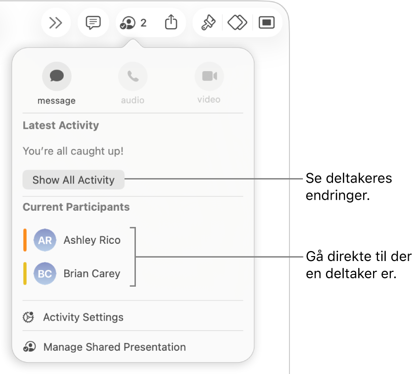Samarbeidsmenyen, som viser to deltakere.