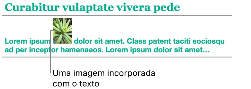 Uma imagem é colocada incorporada com o texto: